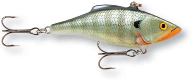 What Are The Best Bass Lures