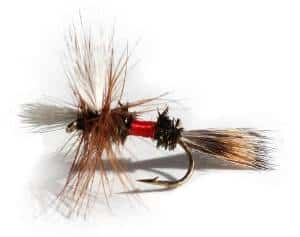 Best Trout Flies For Fly Fishing