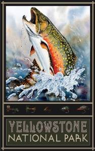 trout fishing art makes excellent fly fishing gifts