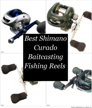 Best Shimano Curado Baitcasting Fishing Reels