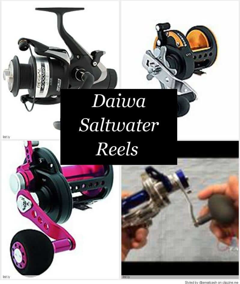 Best Daiwa Saltwater Fishing Reels