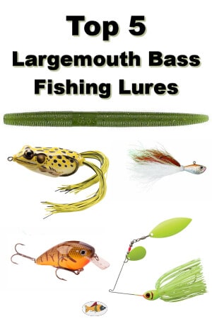 Top 5 Largemouth Bass Fishing Lures